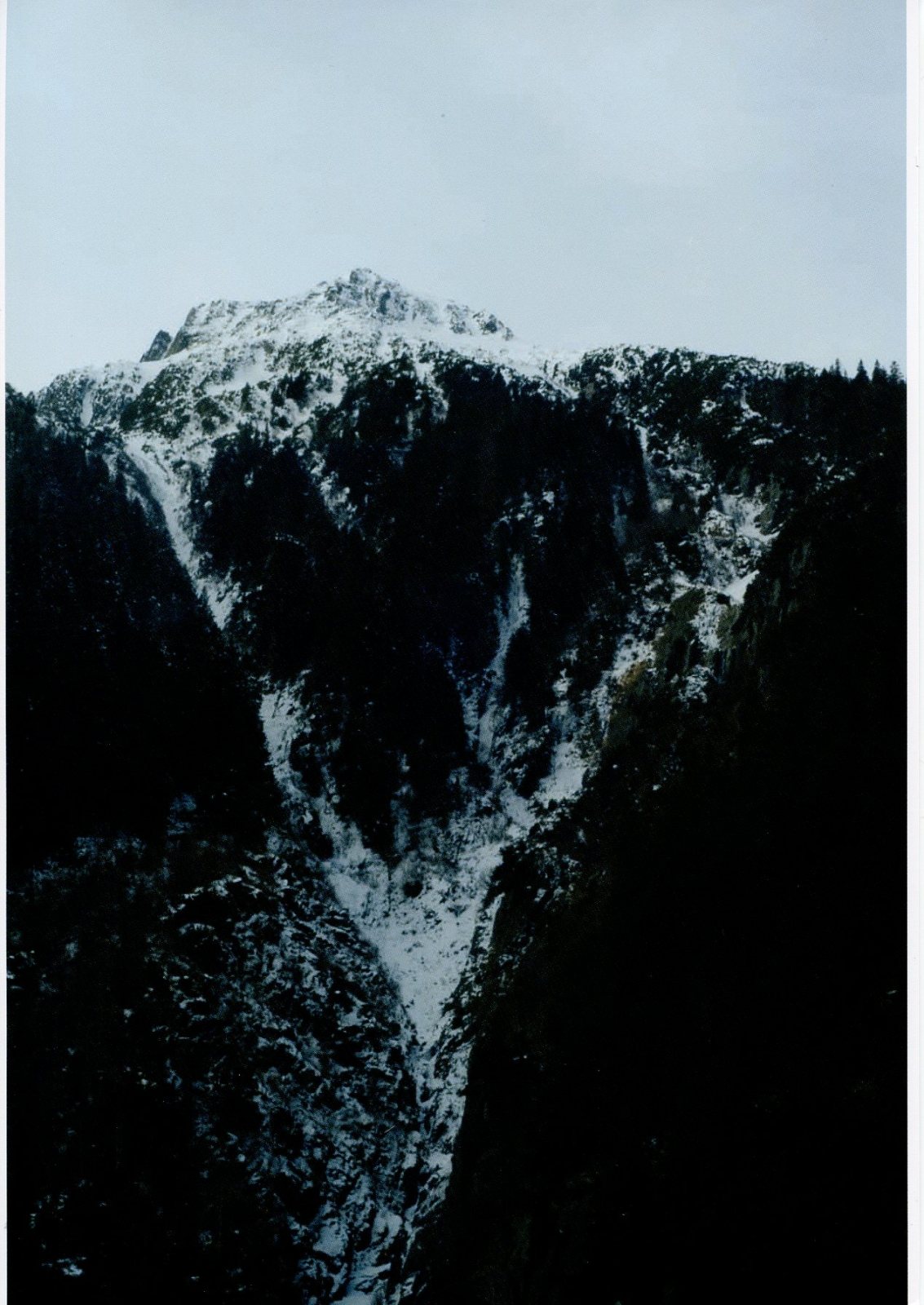 aurore-dal-mas003